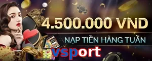 vsport